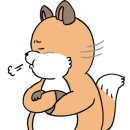 렌즈유 이미지