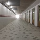 정동지하차도 이미지