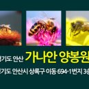 가나안양봉원