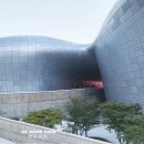외국인 좋아하는 여행지 1위 동대문 디디피
