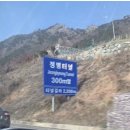 마이따분식 | 내일은 더 재밌게 살거야 어제의 내가 불쌍할 정도로ㅐ