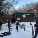 [한라산 등산코스 추천] 성판악 등산 관음사 하산 솔직후기!