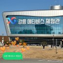 강릉 메타버스 체험관 사전체험 후기 강릉 아이랑 가볼만한 곳 추천