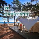연곡입구  연곡마을 | 강릉 연곡솔향기캠핑장 A구역 후기, 명당과 예약방법