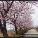 햇빛촌 농원 이미지