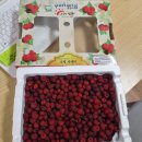 오천농장 이미지