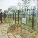 세종호수공원 산책로 이미지