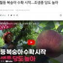 조흥농원 이미지