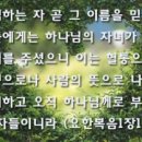 디딤돌교회
