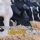 일도목장 이미지