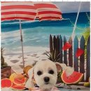 펫러버 그루밍 이미지