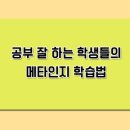 완전학습을 만드는 메타인지 학습법 이미지
