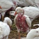 주원약품 이미지