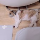 로미한의원 이미지