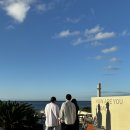 P-5903 | 2024년 8월 #제주 (🏠코끼리잠)