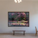 포레스트 이미지