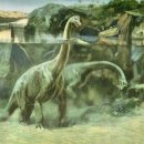 브라키오사우루스 이미지