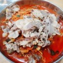 용이반점 이미지