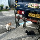 심우장 | [한성대입구역] 파스타맛집 서울파스타일만치노/ 소품샵 책보냥/ 만해한용운심우장