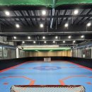 플레임스인라인하키클럽