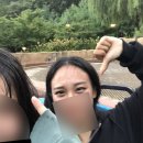 디메이즈 이미지