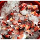 시장민박 이미지