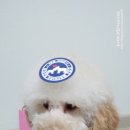 스파츄스 이미지