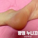 양지-3301 이미지