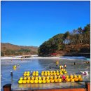 산정호수마을회 | 겨울축제 산정호수 오리썰매 이용 후기 이용요금·종류 정리