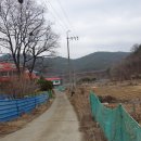 녹색마을길 이미지
