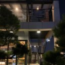 강남-271 이미지