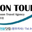 (주)라온여행사 이미지