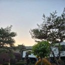 송실목장 이미지