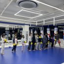 스웻바디라이프mma주짓수킥복싱 | 활기찬 아이! &#34;스웻바디라이프mma주짓수킥복싱&#34; 운정키즈주짓수 리얼후기