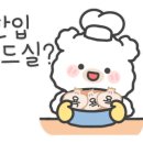 강아지부띠끄