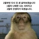 나경노래주점 | 2월은 짧은 게 맞다