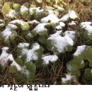 죽산 낚시터 이미지