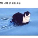 (주)네잎 이미지