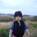 가나안농장1 이미지