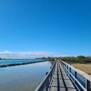 호주 콥스하버 로드트립 | Urunga 보드워크·Port Macquarie (포트 맥쿼리) 여행