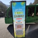 솔향 | 🌲 강릉 솔향 수목원 방문 후기