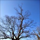 나그네캠핑장 이미지