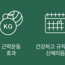 더밍고 네이버블로그