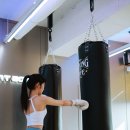 세인트복싱 이미지