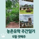 피자스쿨 벌교점 | 보성 농촌유학 주간일기 6월 셋째주 / 등산 / 벌교 태백산맥 문학기행길