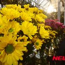 꽃이야기 이미지