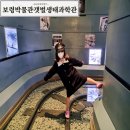 장암 북고리 고인돌 | 보령박물관 갯벌생태과학관 무료 충남 실내가볼만한곳