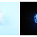물고기수족관