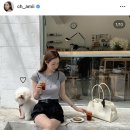 디자인컴퍼니 네이버블로그