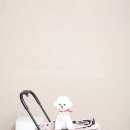 펫펜션 휴 이미지